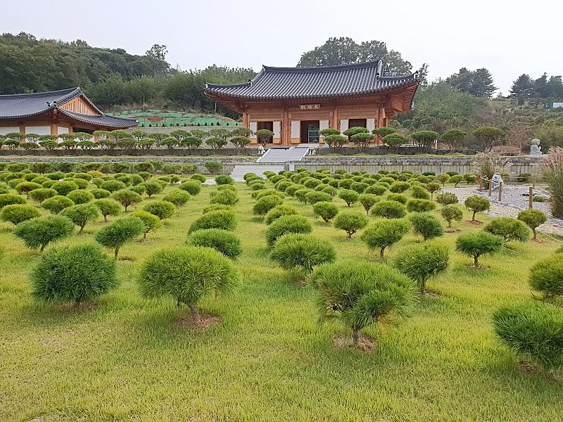 김포 애기봉자연장 수목 안치 구역