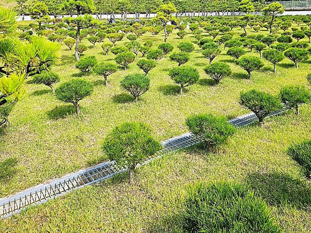 곤지암 자연장 조경 구역 전경