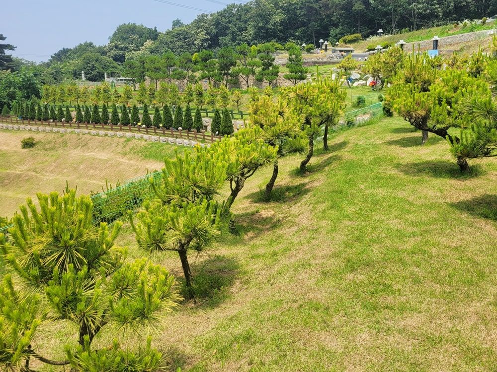 화성 자연장 수목 조경 전경