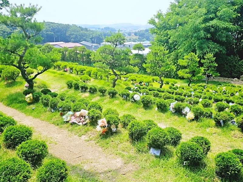일산 자연장 수목장 전경