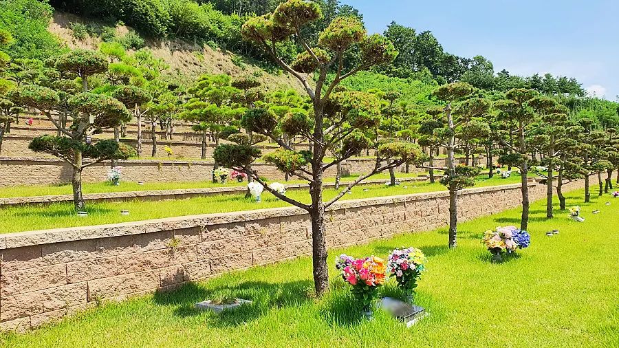 평택 자연장 수목 안치 공간