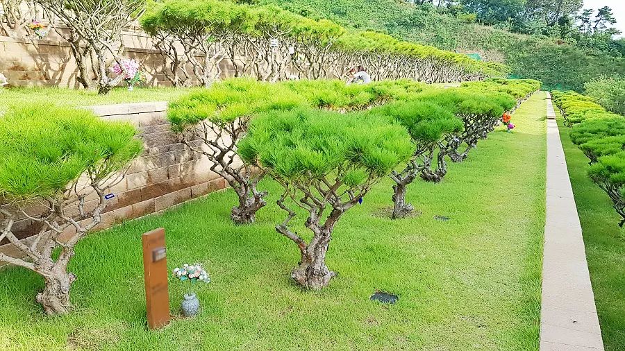 평택 자연장 수목 공간 전경