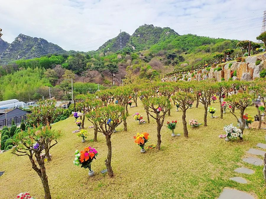 양주 자연장 수목장 구역 전경