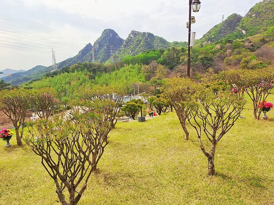 양주 자연장 수목 구역 전망