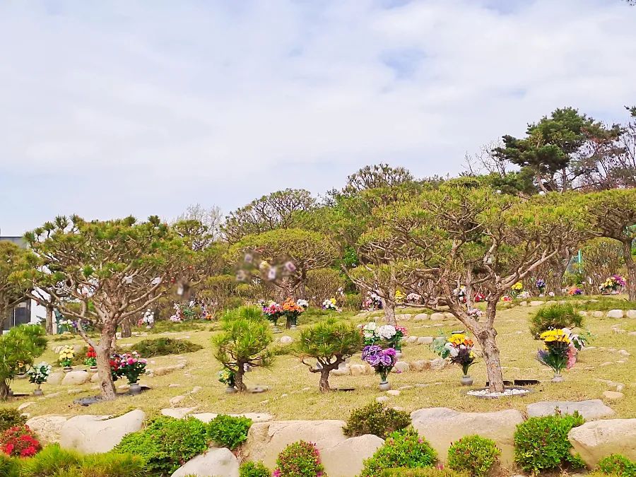양주 자연장 수목 안치 공간