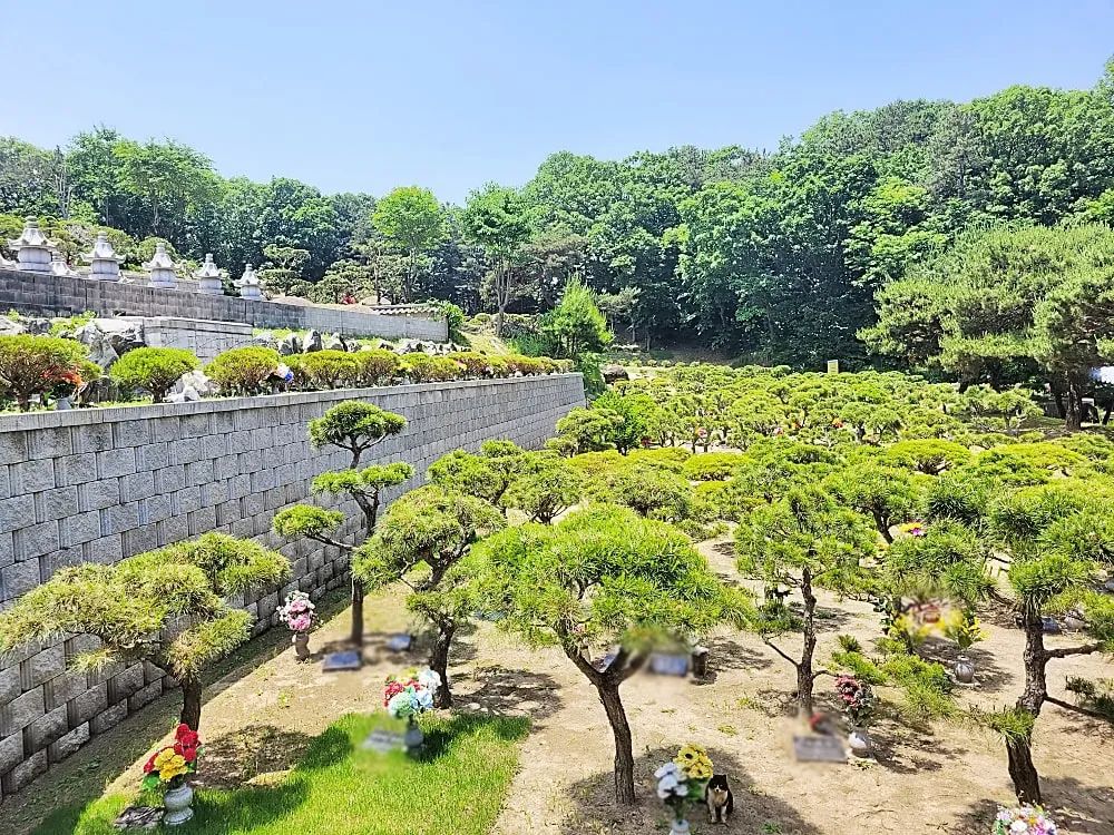 양평 자연장 수목장 구역 전경