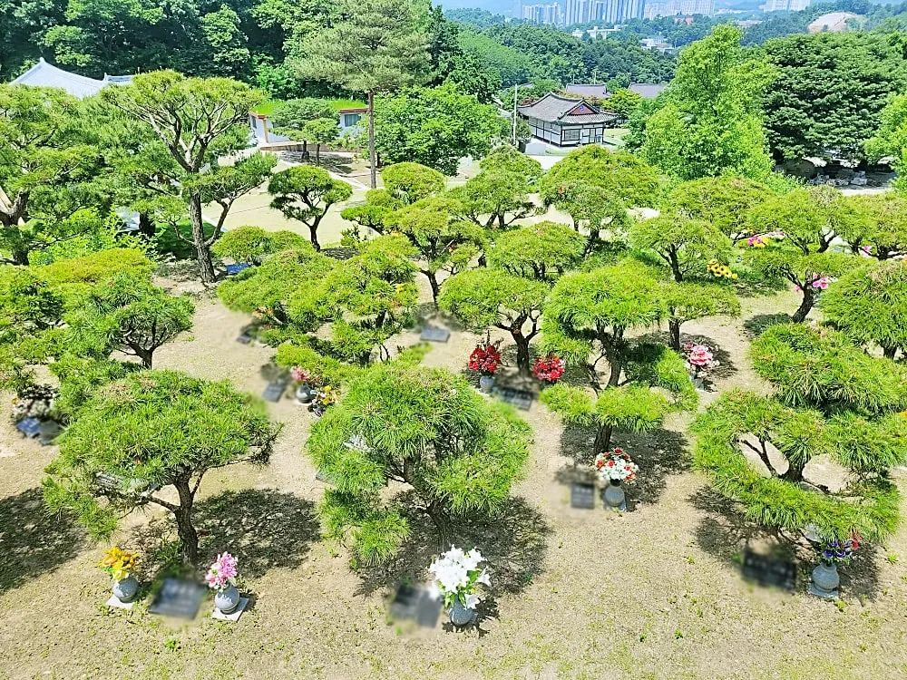 양평 자연장 수목 안치 구역 조감