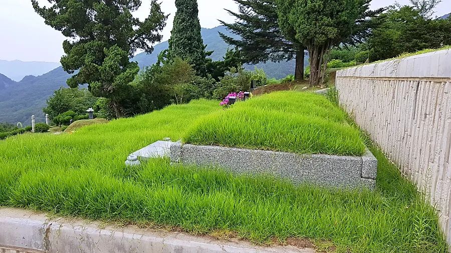 양평추모공원 자연형 잔디 묘역 근경