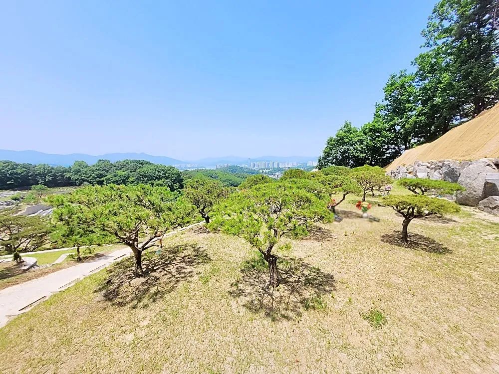 양평 자연장 수목 구역 전망