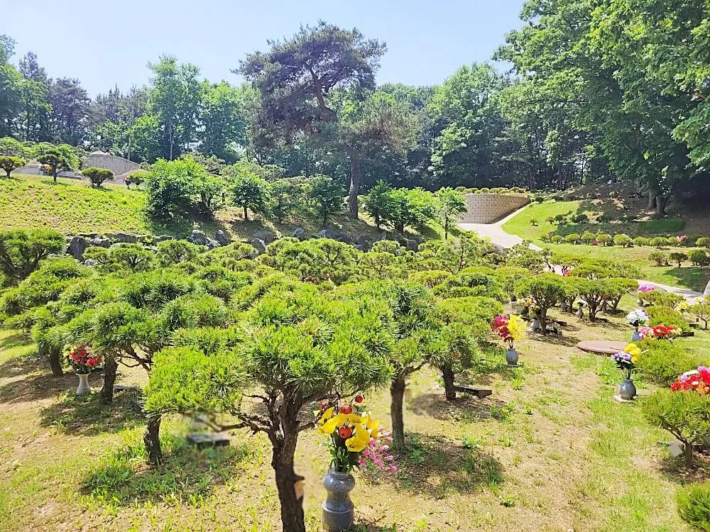 양평 자연장 수목 조경 전경