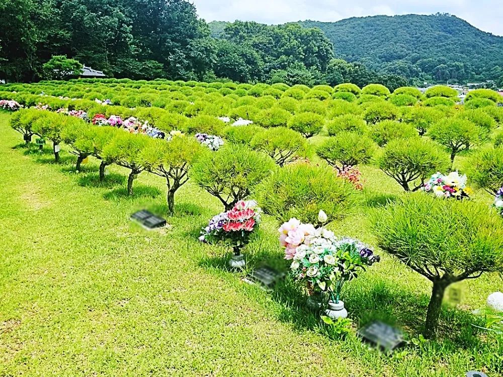 자연장 수목 안치 구역 전경