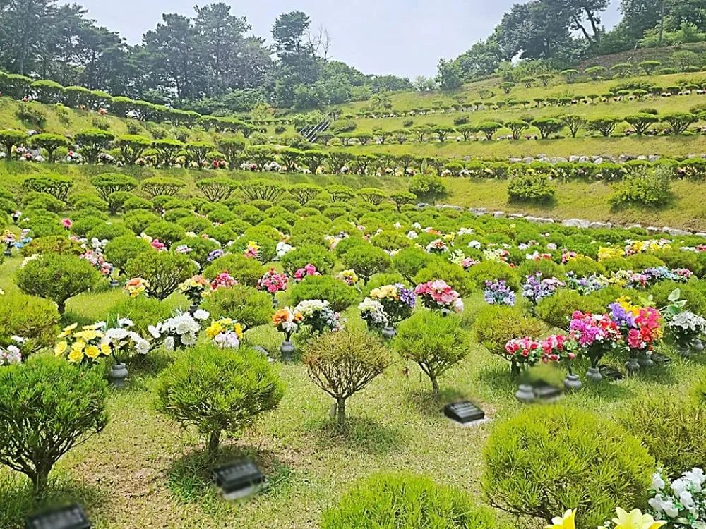 용인 자연장 잔디장 전경