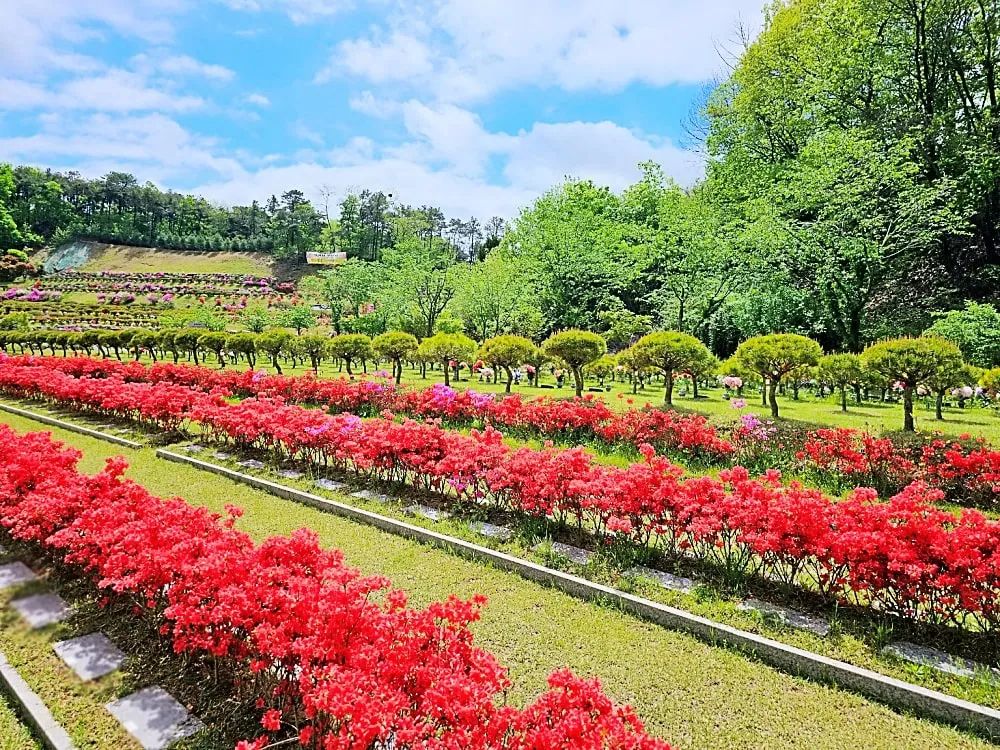 용인 자연장 안치 구역 근경