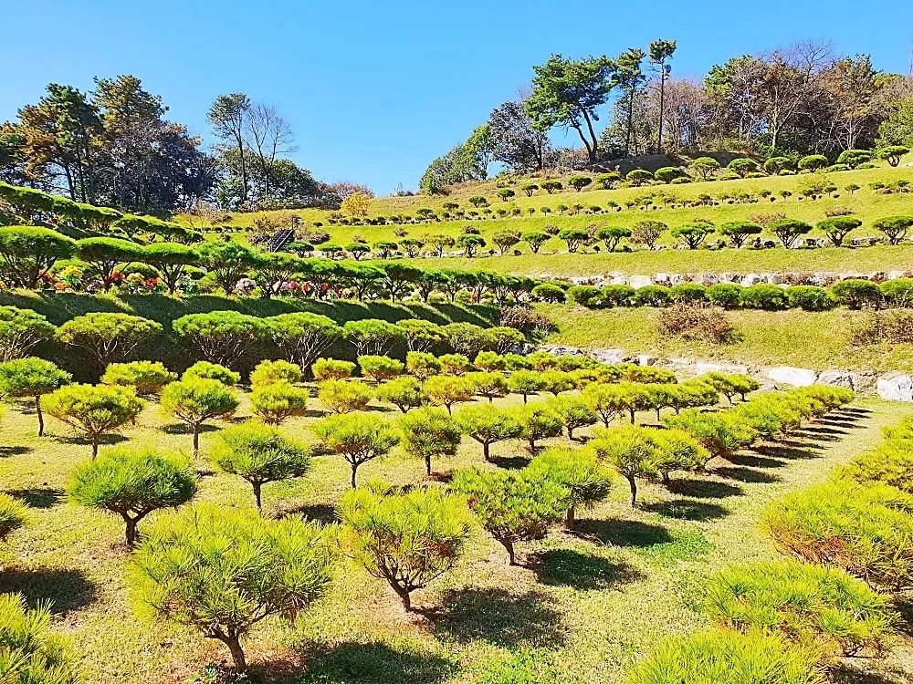 용인 자연장 수목 환경