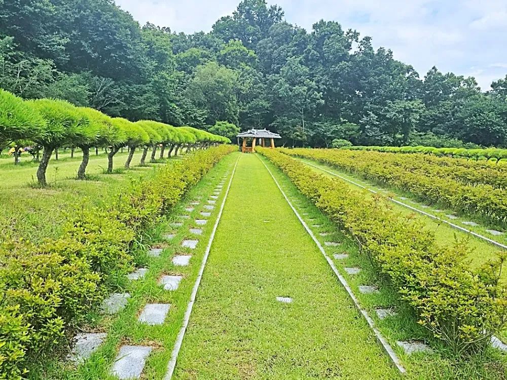 용인 자연장 부지 전경